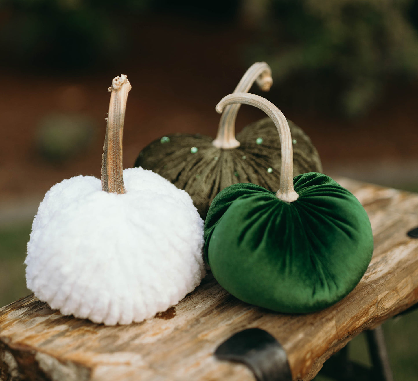 Evergreen Pumpkin Trio