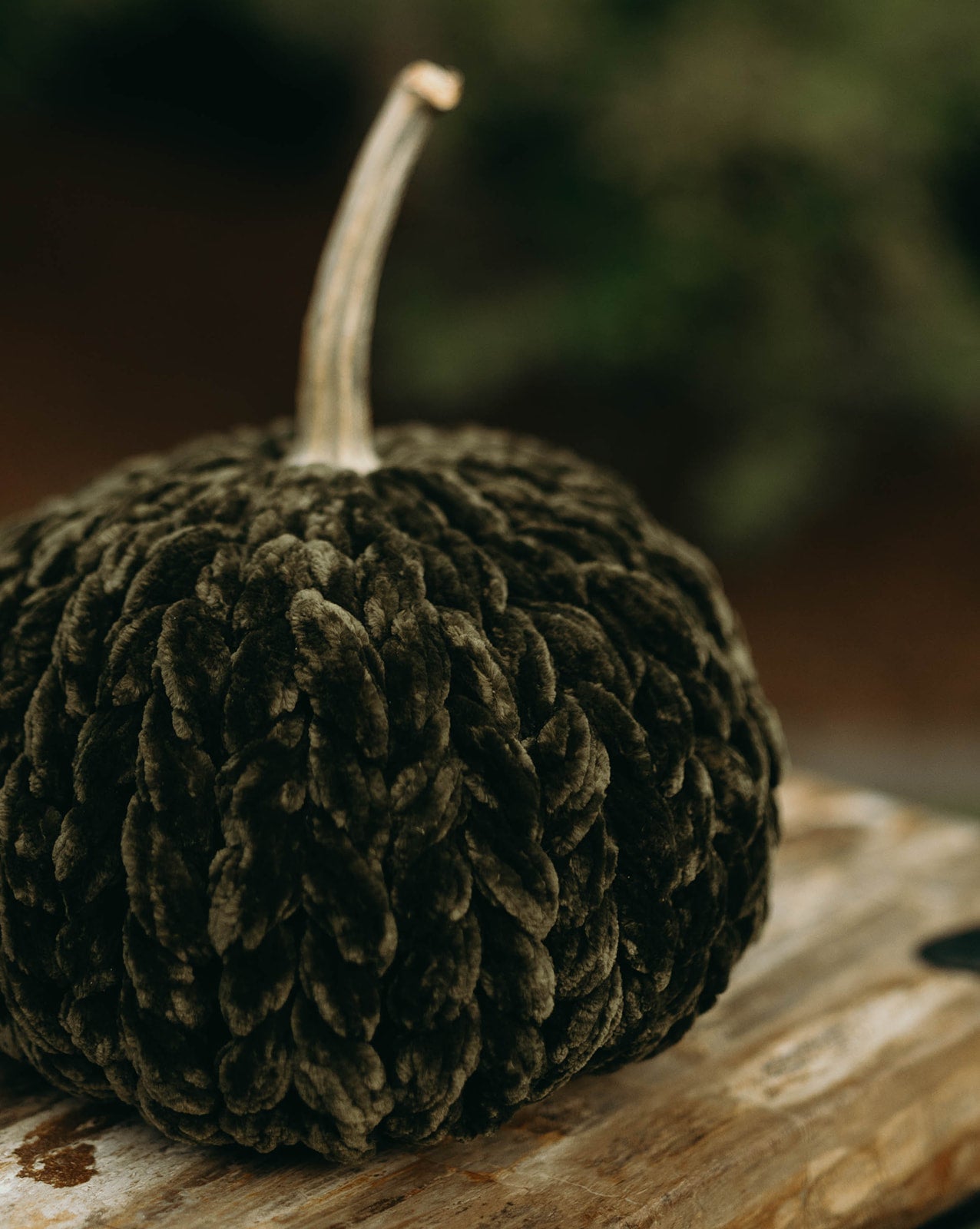 Velvet Chunky Knit Pumpkins