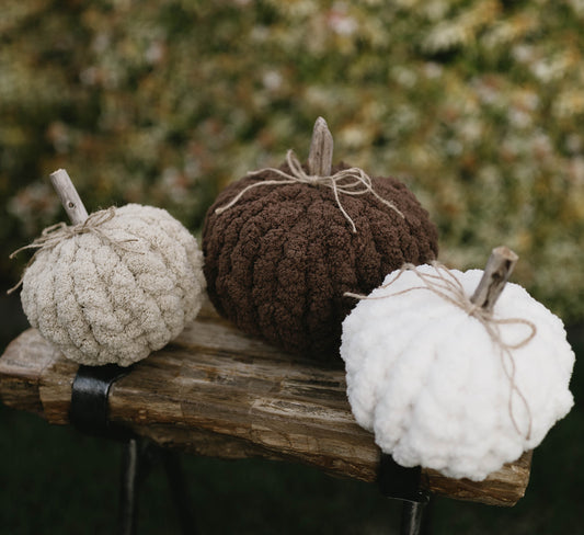 Harvest Neutrals Pumpkin Trio