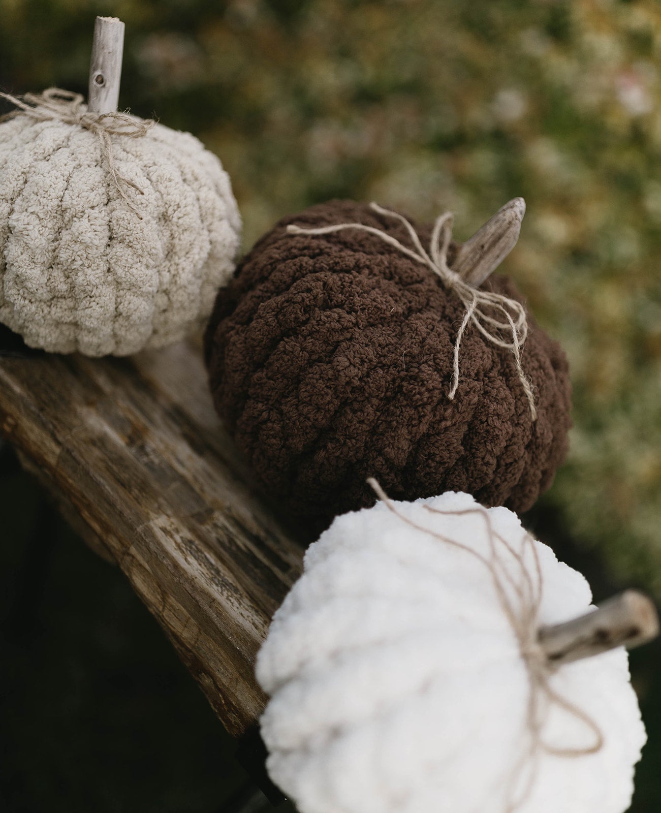 Harvest Neutrals Pumpkin Trio