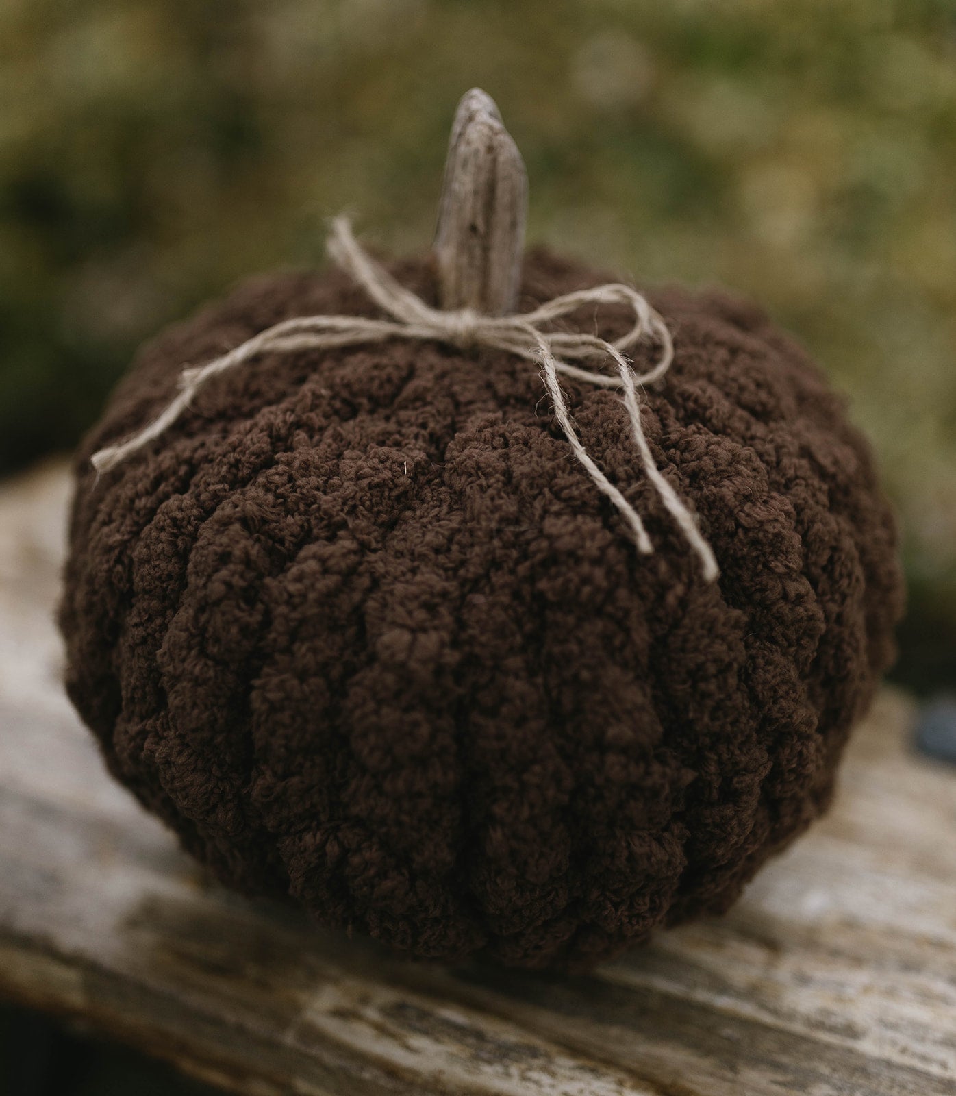 Harvest Neutrals Pumpkin Trio