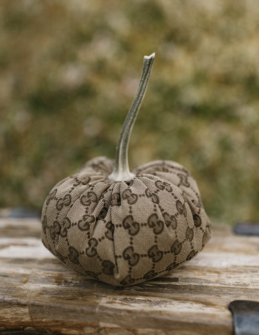 Designer Pumpkins - Gucci