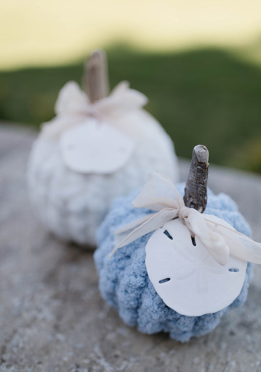 Coastal Sand Dollar Chunky Knit Pumpkins