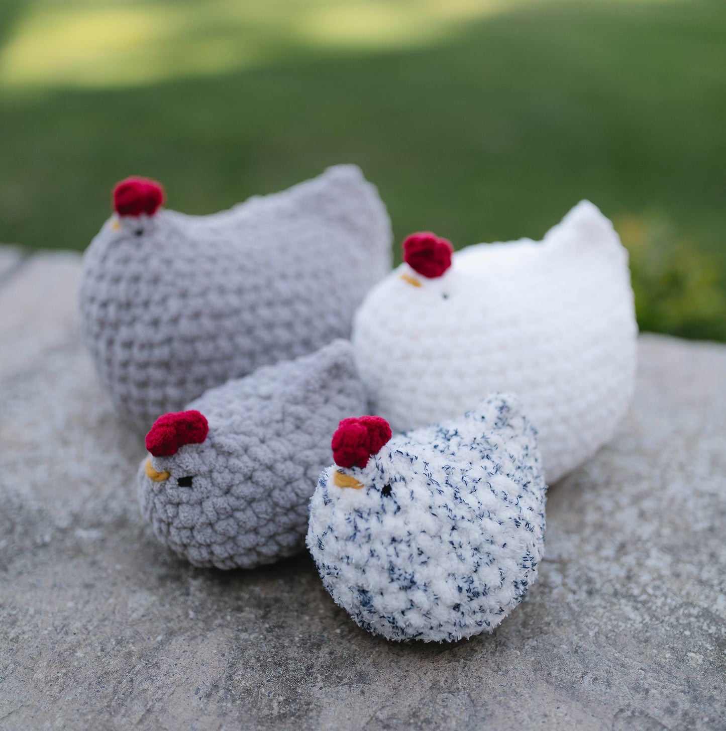 Mabel Chickens