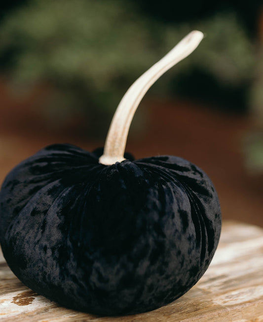 Jet Black Pumpkin