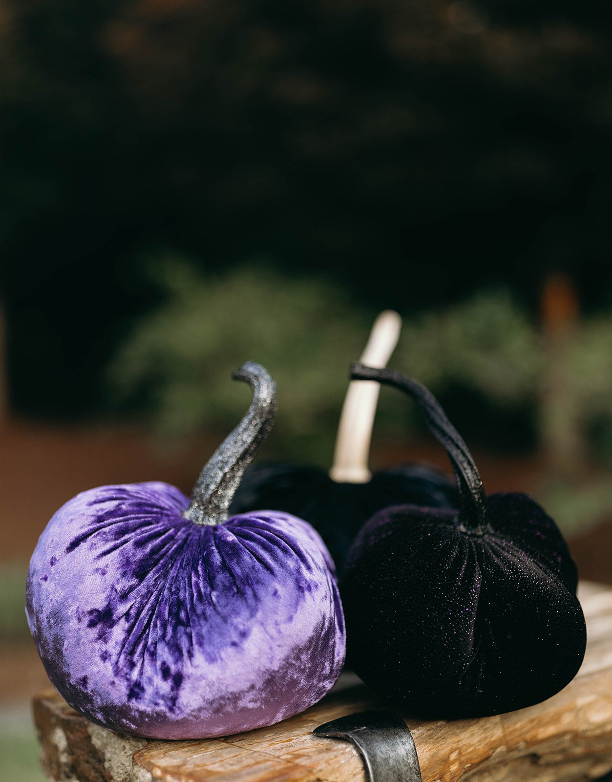 Twilight Purple Pumpkin