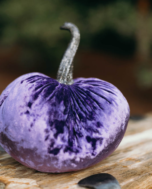 Twilight Purple Pumpkin