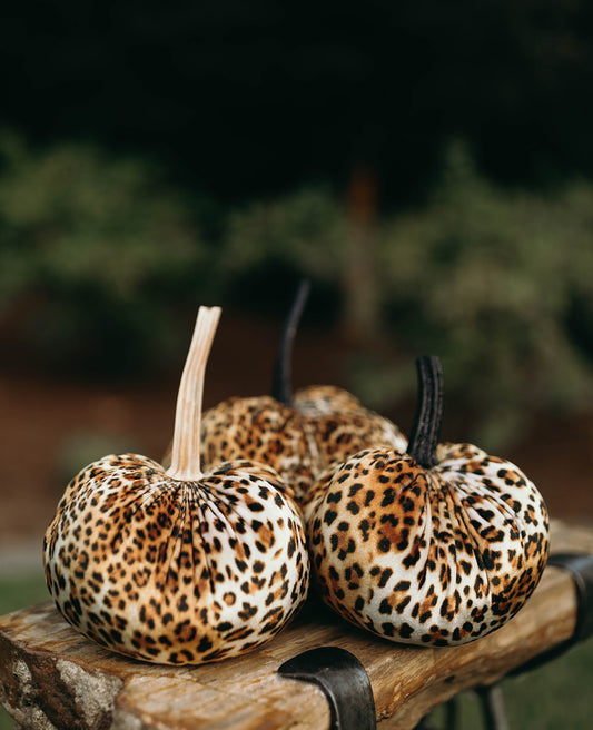 Leopard Lush Pumpkin