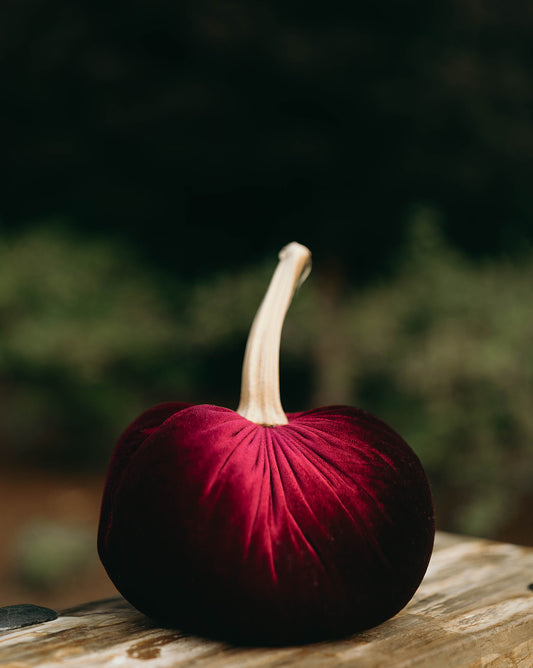 Burgundy Wine Velvet Pumpkin