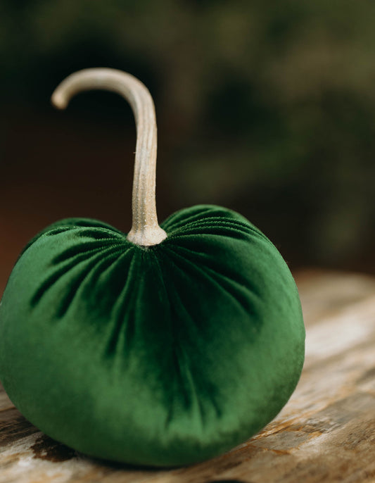 Emerald Grove Velvet Pumpkin