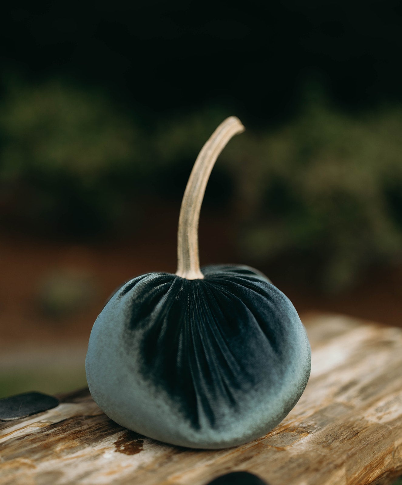Storm Blue Velvet Pumpkin