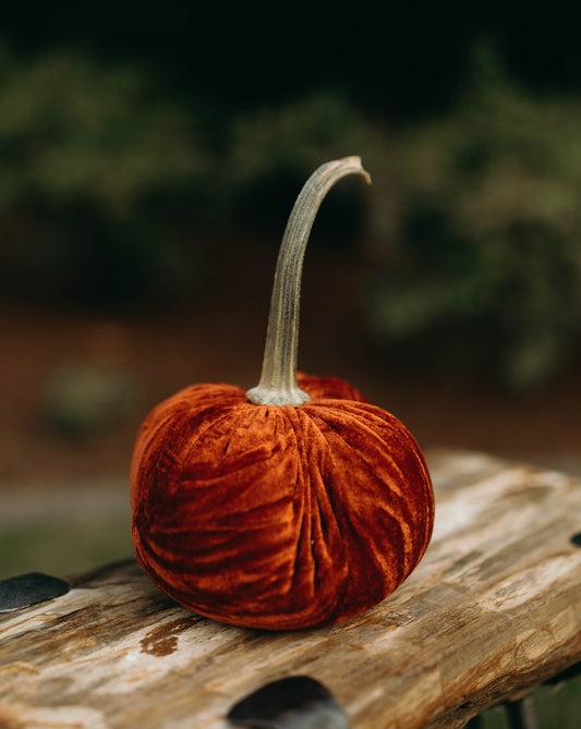 Crushed Amber Velvet Pumpkin