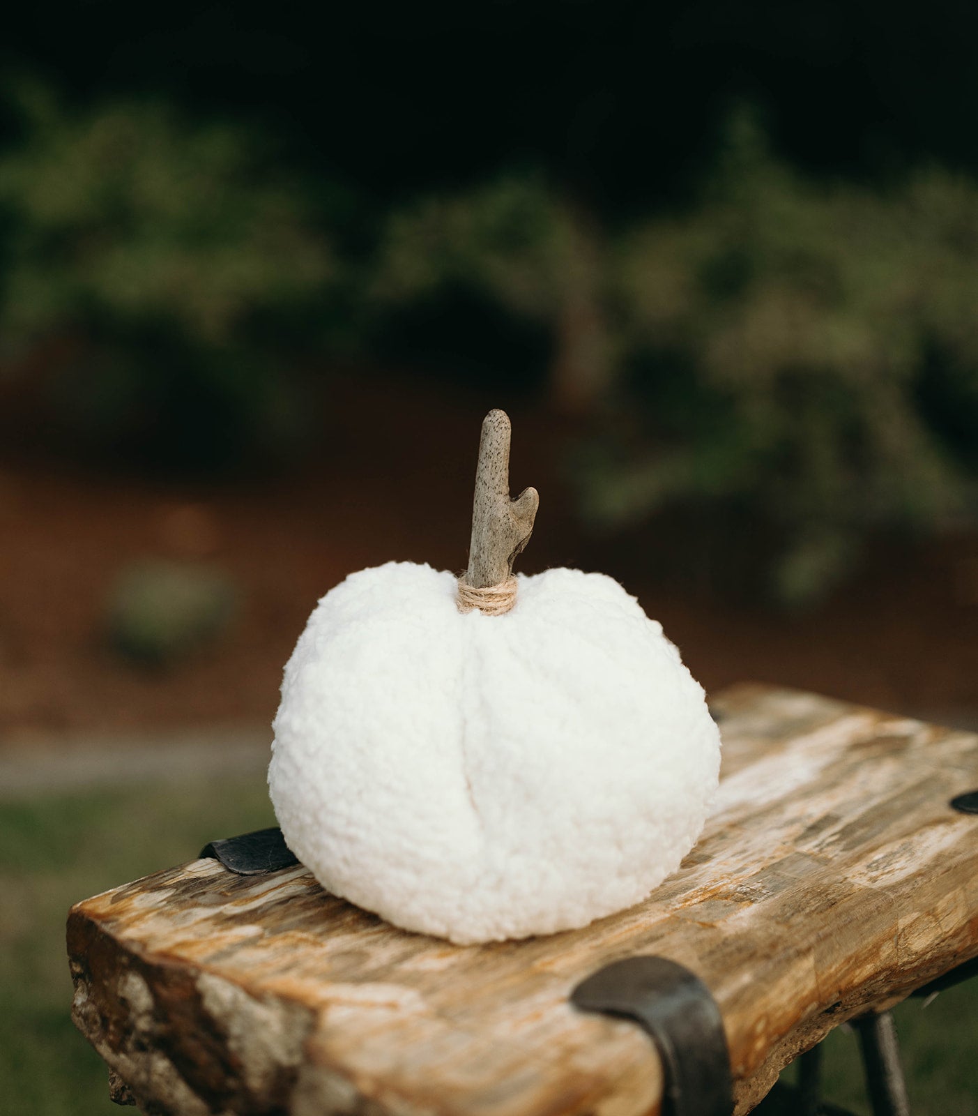 Woodland Sage Pumpkin Trio