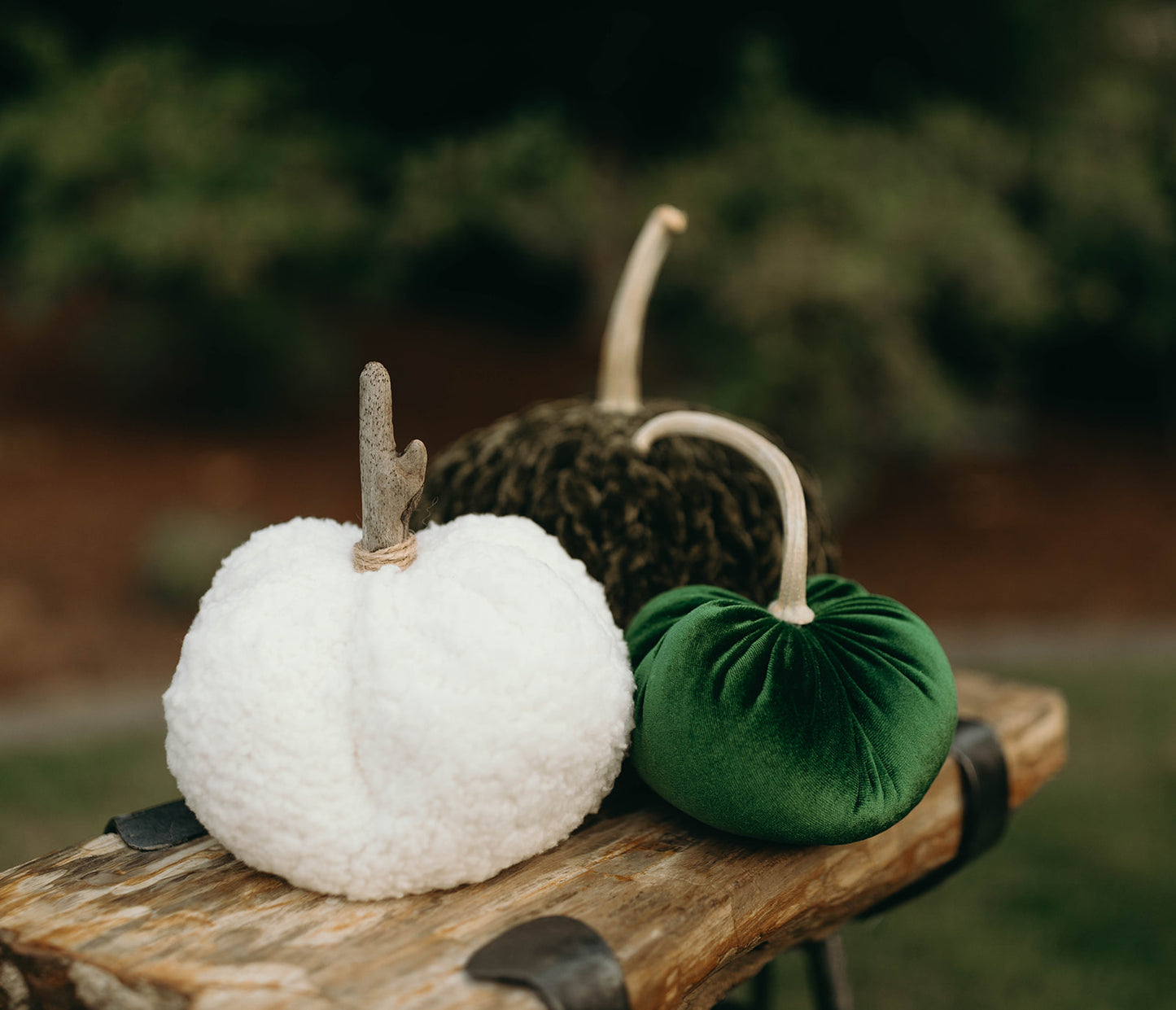 Woodland Sage Pumpkin Trio