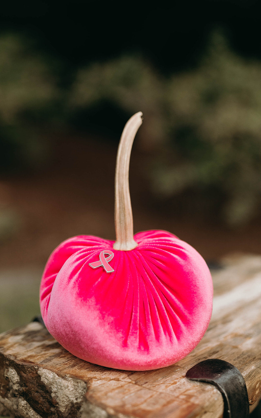 Pink Ribbon Velvet Pumpkin