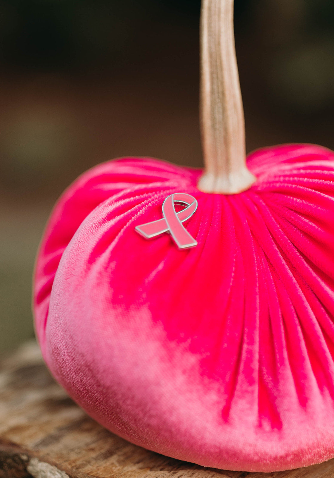 Pink Ribbon Velvet Pumpkin