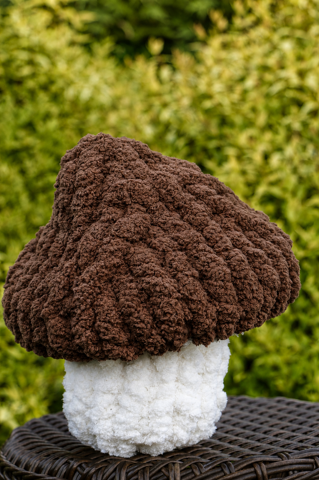 Mila Mushrooms